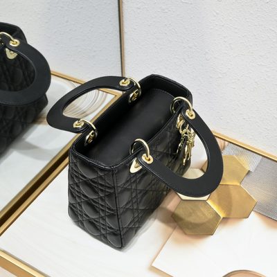 Dior Bag — 7