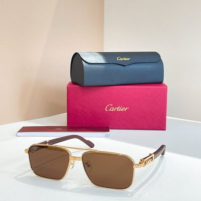 Cartier Sunglasses — 5