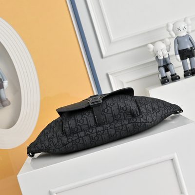 Dior Saddle Belt Bag — 3