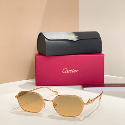 Cartier Sunglasses — 6