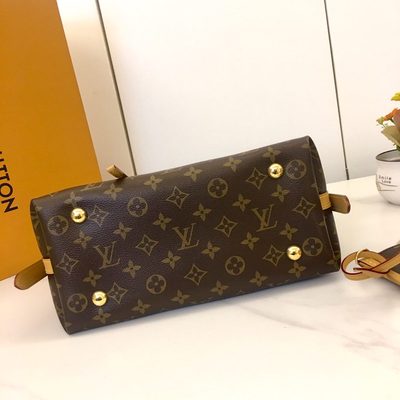 Louis Vuitton Bag — 7