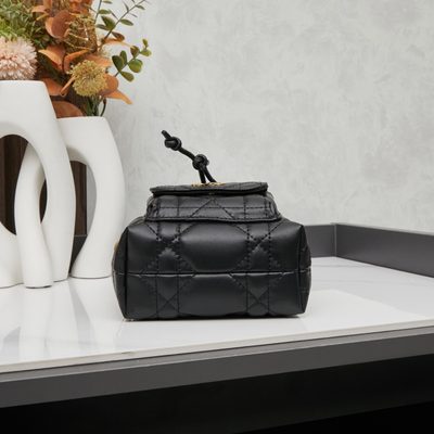 Dior Bag — 5