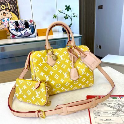 Louis Vuitton Bag — 6