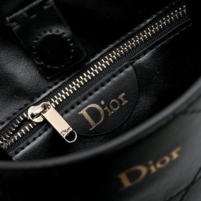 Dior Bag — 9