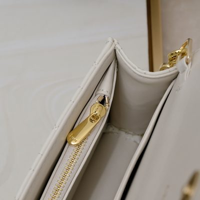 Dior Bag — 9
