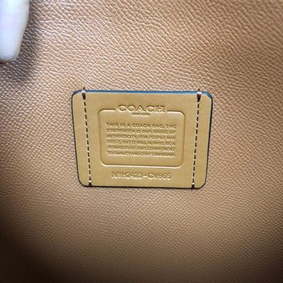 Coach Bag — 8