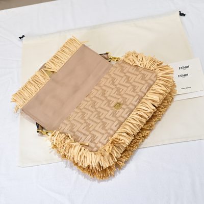 Fendi Bag — 5