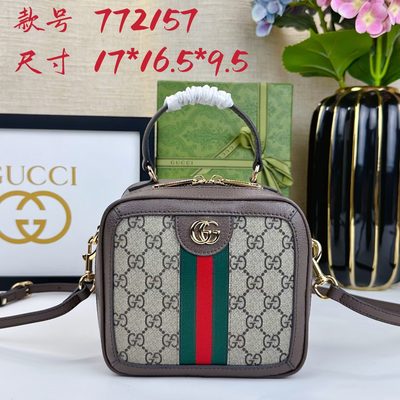 Gucci Bag