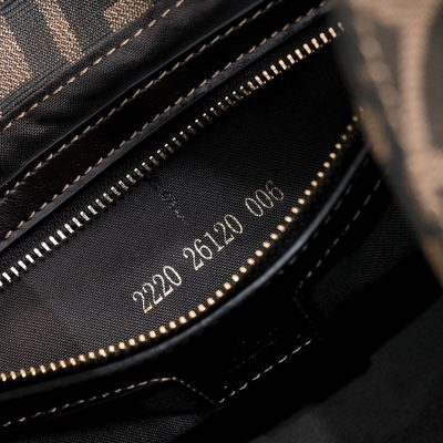 Fendi Bag — 6