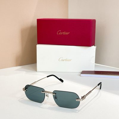 Cartier Sunglasses — 4