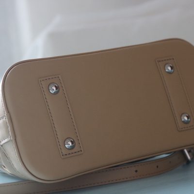 Louis Vuitton Bag — 5