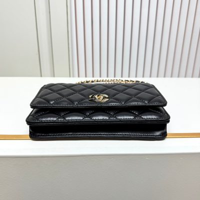 Chanel Bag — 5