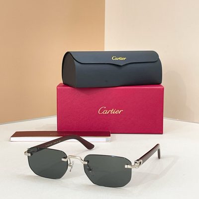Cartier Sunglasses — 4