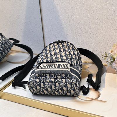 Dior Bag — 7