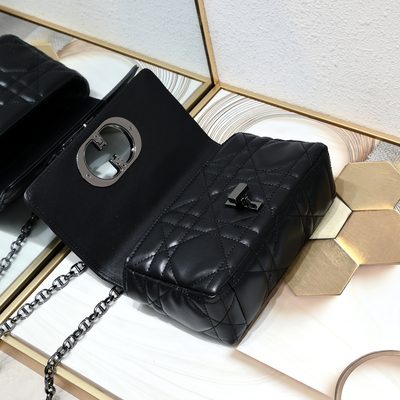 Dior Bag — 6