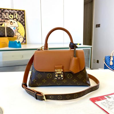 Louis Vuitton Bag — 4