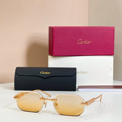 Cartier Sunglasses — 7