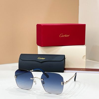 Cartier Sunglasses — 7
