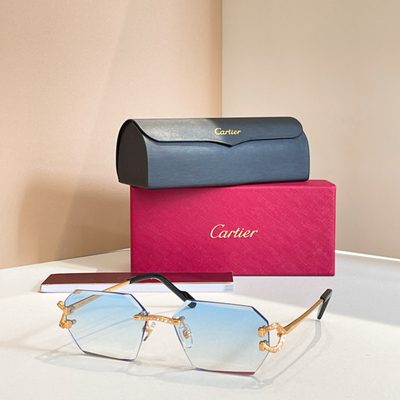 Cartier Sunglasses — 5