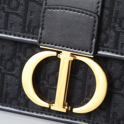 Dior Bag — 6