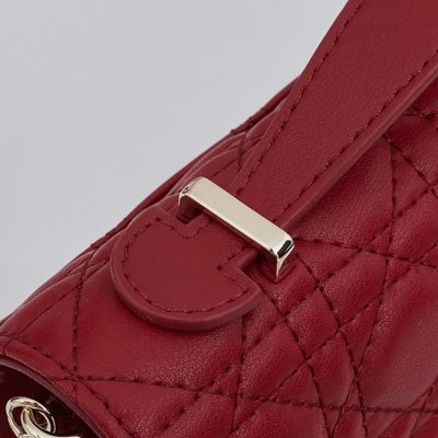 Dior Bag — 6