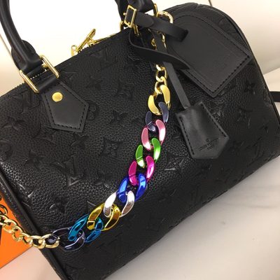 Louis Vuitton Bag — 4
