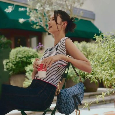 Dior Bag — 9