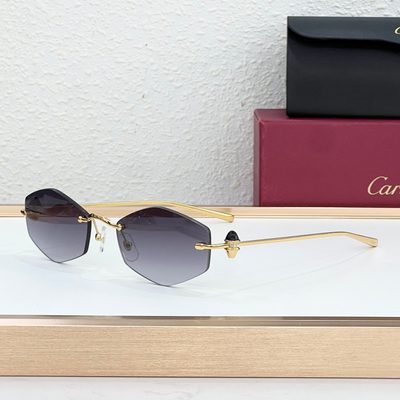 Cartier Sunglasses — 5
