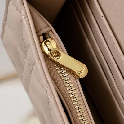 Dior Bag — 7