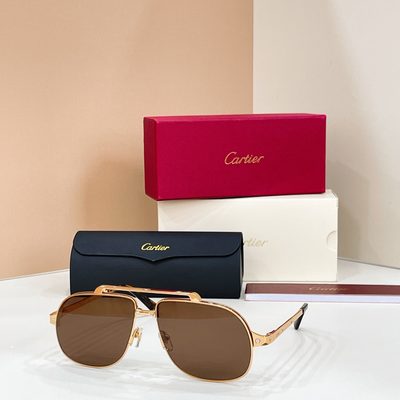 Cartier Sunglasses — 5