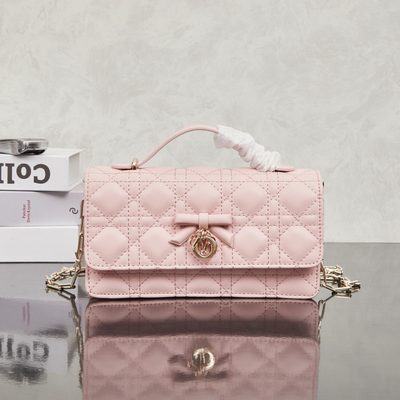 Dior Bag