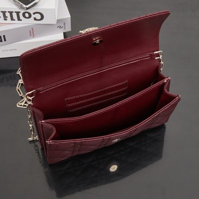 Dior Bag — 9