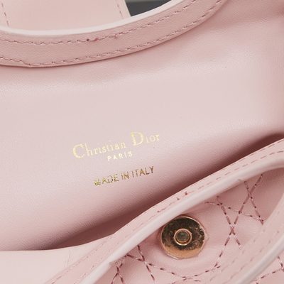 Dior Bag — 8