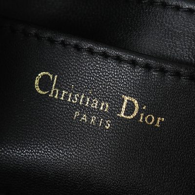 Dior Bag — 9