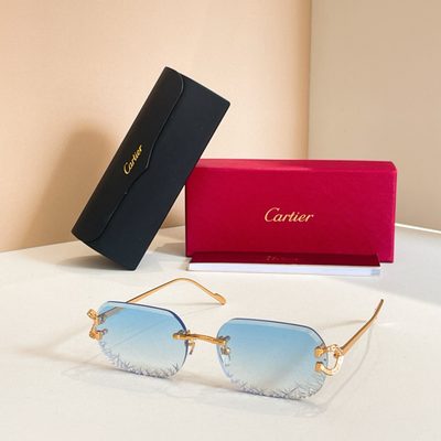 Cartier Sunglasses — 3