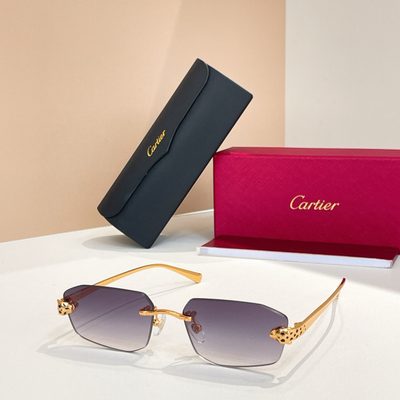 Cartier Sunglasses — 4