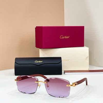 Cartier sunglasses — 4