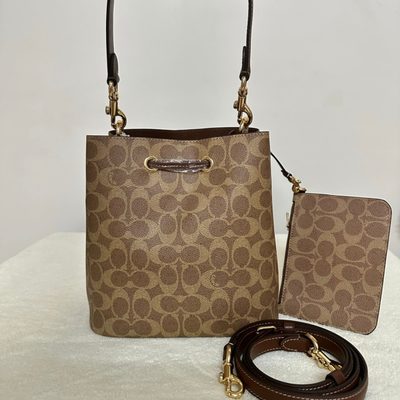 Coach Bag — 3