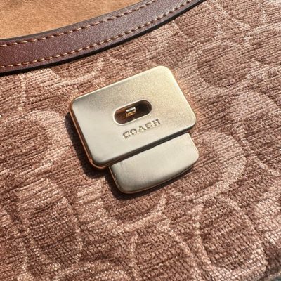 Coach Bag — 13
