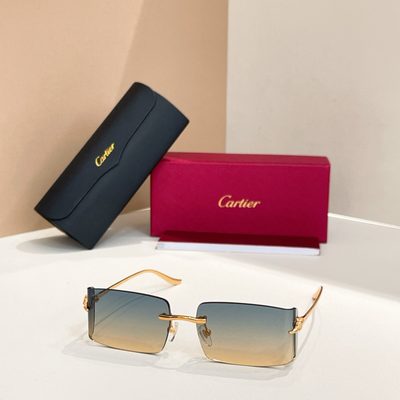 Cartier Sunglasses — 6