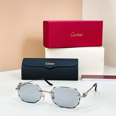 Cartier Sunglasses — 6