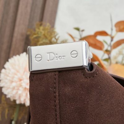 Dior Bag — 6