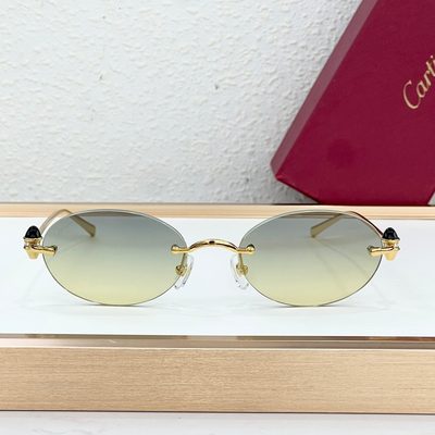 Cartier Sunglasses — 6