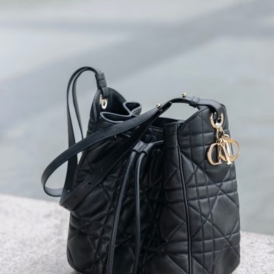 Dior Bag — 7