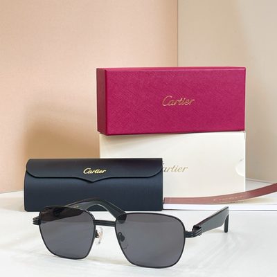 Cartier Sunglasses — 5