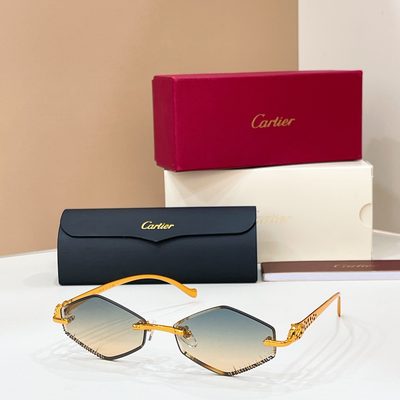 Cartier Sunglasses — 3