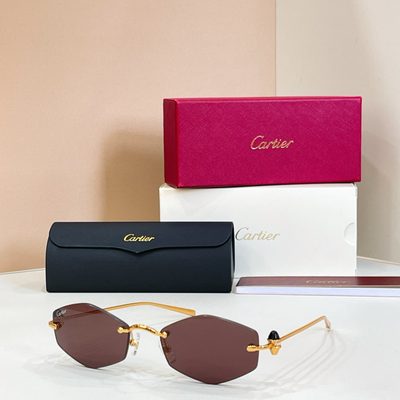 Cartier Sunglasses — 3