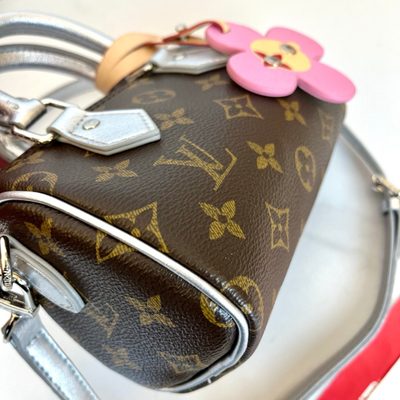 Louis Vuitton Bag — 7