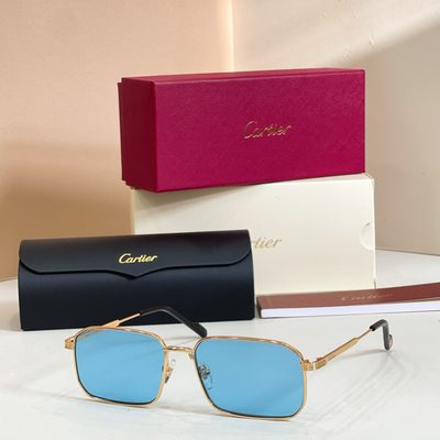 Cartier Sunglasses — 7