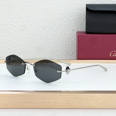 Cartier Sunglasses — 8